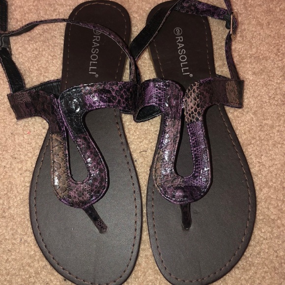 Rasolli Shoes Brand New Black And Purple Gladiator Sandals Poshmark
